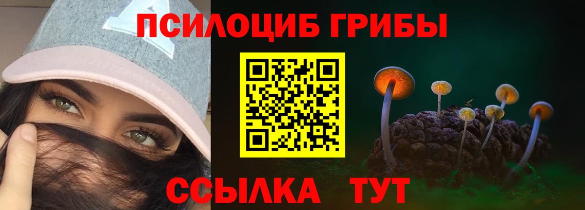 Новотроицк  Галлюциногенные грибы мухоморы  цены   Вход с VPN 